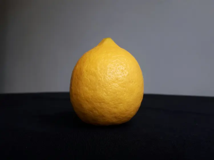 A lemon standing against a grey background
