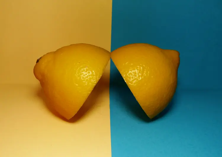 Two lemons meeting across yellow and blue backgrounds